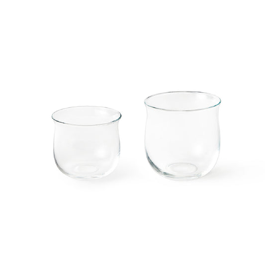 Polly Glass